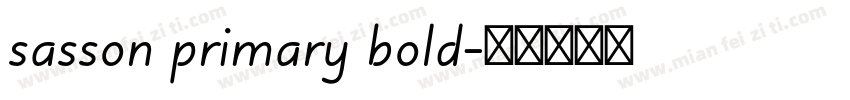 sasson primary bold字体转换